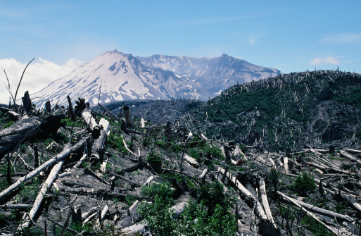 1988 view of devastation looking towards the crater. A small helicopter can be seen to show size perspective (need to view at full size). Mt St Helens is located in Washington State. Showing some regrowth since the eruption in 1980.
