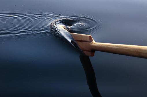 Paddle and ripples in  the water