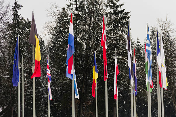 Flags of EU in windless winter stock photo