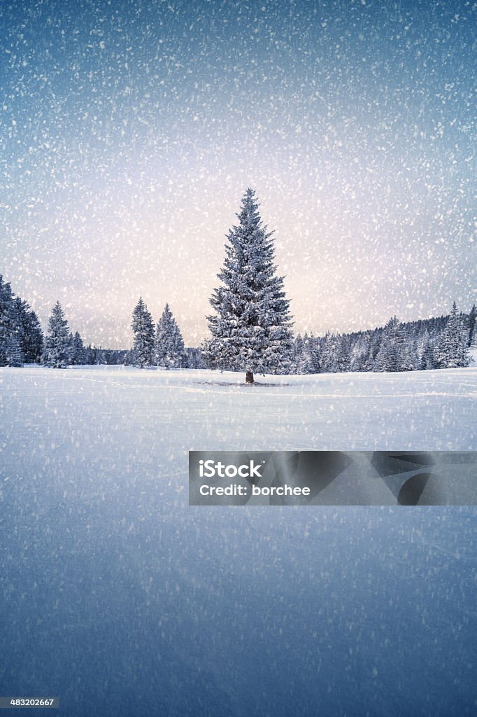 Зимнее дерево - Стоковые фото Рождество роялти-фри