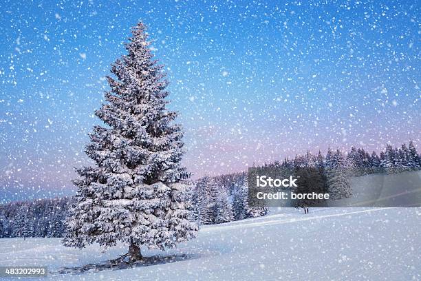 Winterlandschaft Stockfoto und mehr Bilder von Abgeschiedenheit - Abgeschiedenheit, Arktis, Ast - Pflanzenbestandteil