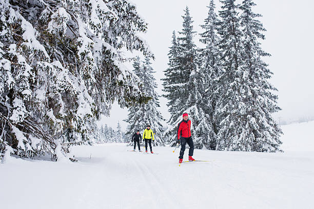 istock Man and women enjoying skiing 483204934