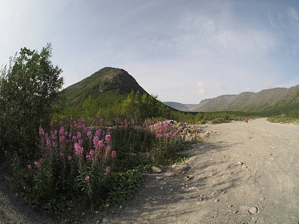 hibiny a las montañas - khibiny hibiny valley mountain fotografías e imágenes de stock