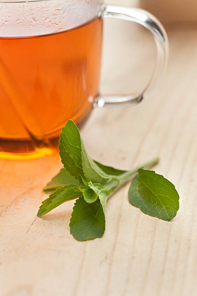 유리컵, 차, 신선한 stevia 잎 - stevia tea herbal tea herb 뉴스 사진 이미지