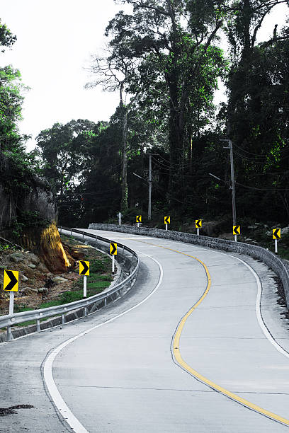carretera con curvas - thailand forest outdoors winding road fotografías e imágenes de stock