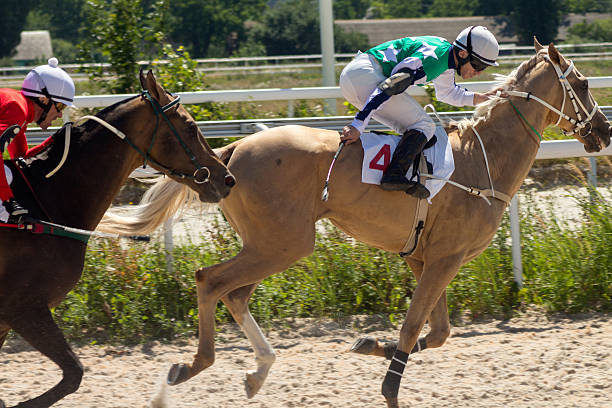 istock Horse racing in Pyatigorsk 483211236