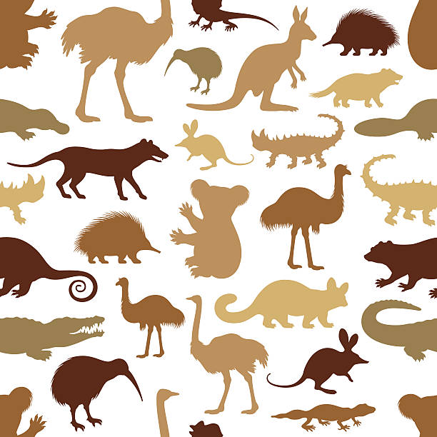 ilustraciones, imágenes clip art, dibujos animados e iconos de stock de australian patrón de piel animal - australian culture illustrations