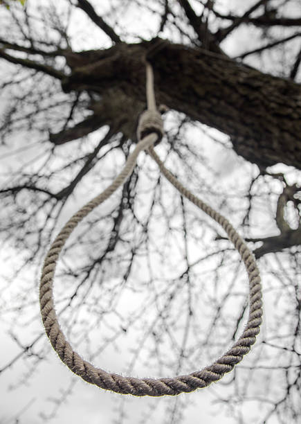 noose hanging in a tree noose hanging in a tree hangmans noose stock pictures, royalty-free photos & images