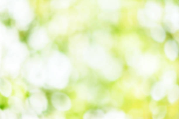 istock Summer soft light abstract background  with bokeh. Green and yel 483214740