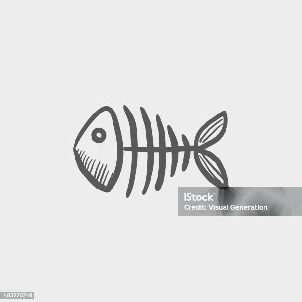 Fish Skeleton Sketch Hand Drawn Doodle Icon Stock Illustration - Download  Image Now - Fish, Human Skeleton, Animal - iStock