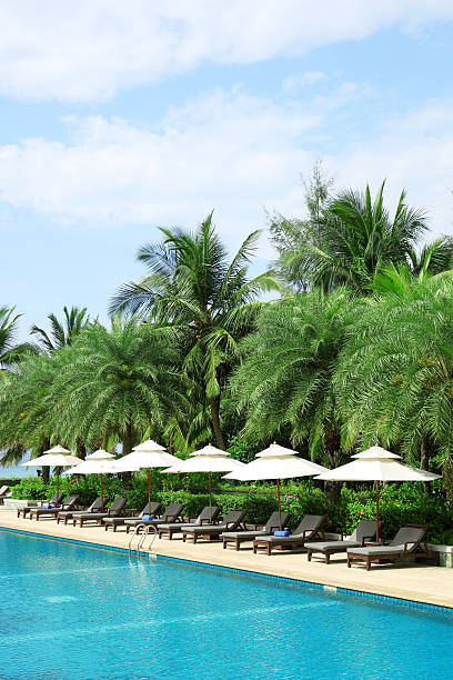 istock Tropical resort hotel swimming pool 483220366