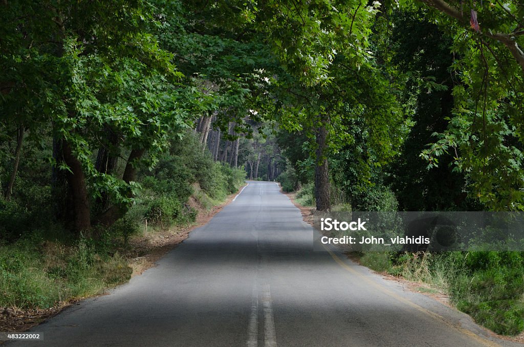 forest road road forest national park Greece Athens 2015 Stock Photo