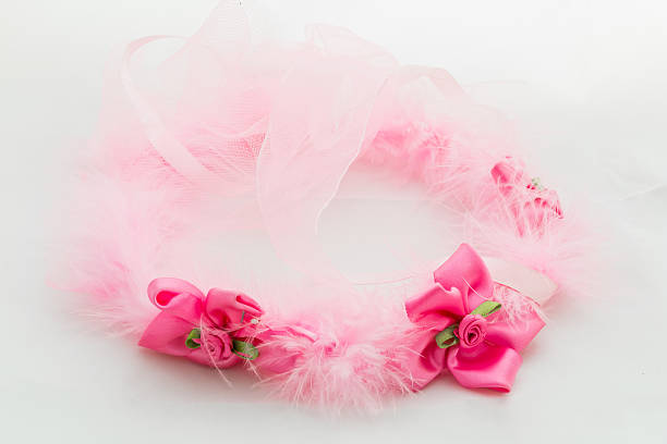 istock Flower Crown / Flower Crown Isolated on White 483222966