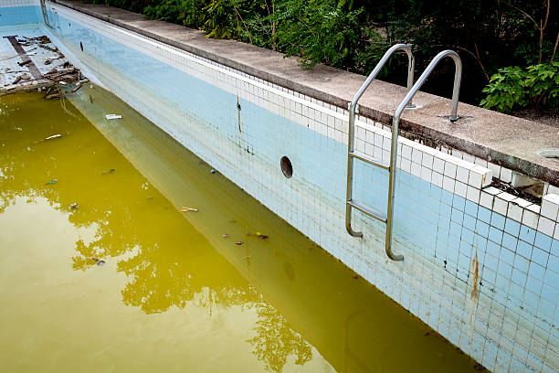 istock Dirty water in old concrete swimming pool 483226030