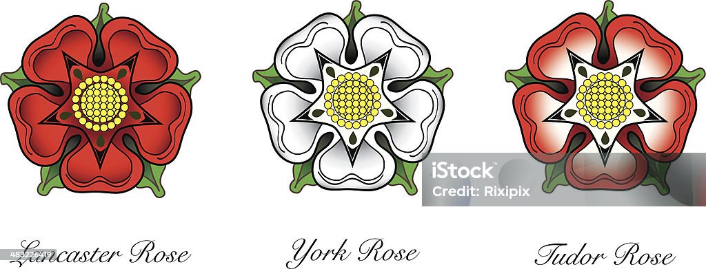 Tudor rose Representaions of english Rose emlems. Following the War of the Roses, the red rose of  the house of Lancaster and the White rose of the house of York combined to make the dual coloured Tudor rose. EPS10 vector format. including simple radial gradients Rose - Flower stock vector