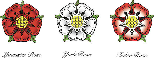Tudor rose Representaions of english Rose emlems. Following the War of the Roses, the red rose of  the house of Lancaster and the White rose of the house of York combined to make the dual coloured Tudor rose. EPS10 vector format. including simple radial gradients york yorkshire stock illustrations