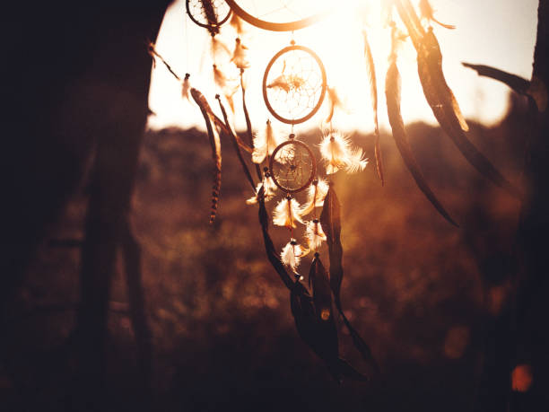 North American tribal dreamcatcher hanging from branches in golden afternoon sunlight in the wilderness