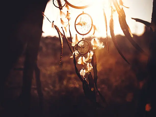 Photo of Dreamcatcher hanging in natural wilderness in afternoon sunlight