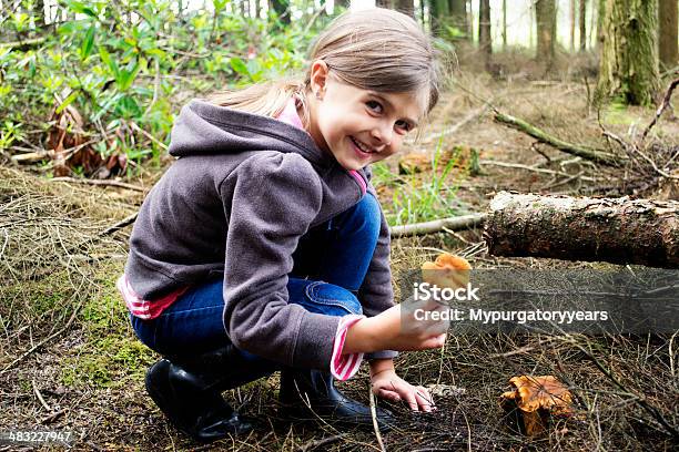 Photo libre de droit de Champignon Choix banque d'images et plus d'images libres de droit de Cueillette des champignons - Cueillette des champignons, Champignon comestible, Enfant