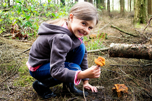 A young girl forages for mushrooms in a forest in the autumn