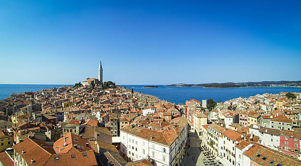 istock Rovinj town in Istria 483228037