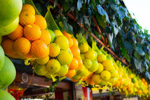 Sorrento citrus fruits