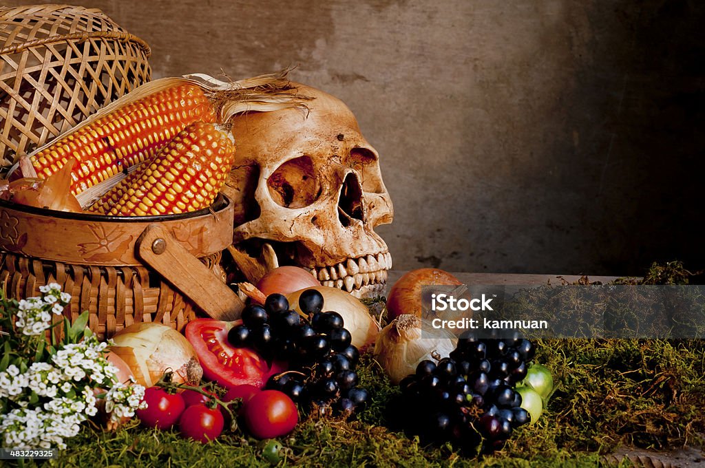 Naturaleza muerta con cráneo - Foto de stock de Alquimia libre de derechos