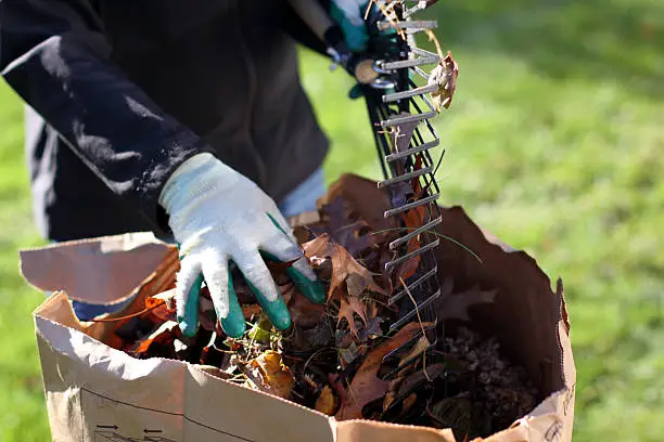 Photo of Gardening