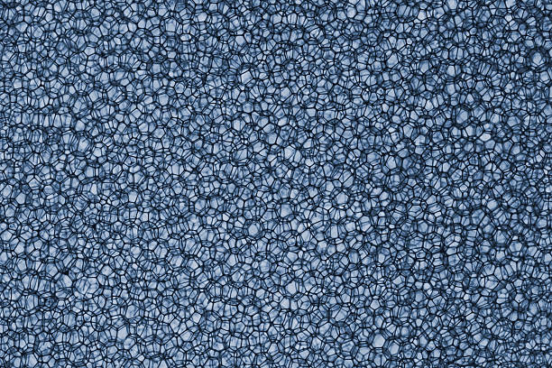 istock Background Of Sponge in Light Blue color shot in studio 483230628