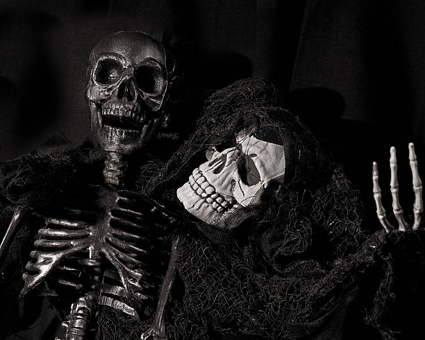 Two skeletons share a joke stock photo