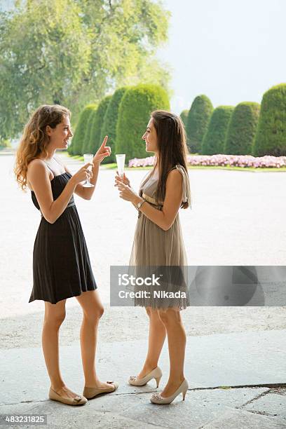 Foto de Felizes Meninas Com Champanhe e mais fotos de stock de Coquetel - Coquetel, Andar, Festa