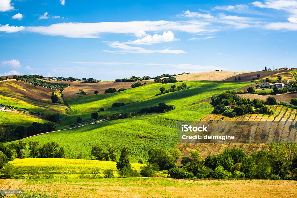 Marche hill cultivated fields in the Tuscan hills. Marche - Italy Stock Photo