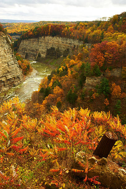 Autumn scene of waterfalls and gorge Autumn scene landscape of waterfalls and gorge at Letchworth State Park letchworth state park stock pictures, royalty-free photos & images