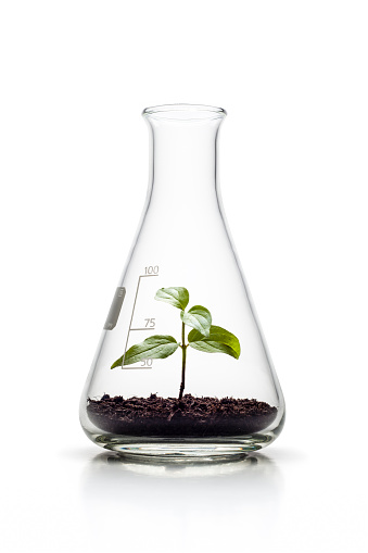 Concept photography of a small tree plant growing in an Erlenmeyer flask. A great conceptual design for science and any nature related subject area. Photo captured with a Zeiss Makro-Planar T* 2/50mm at f16.