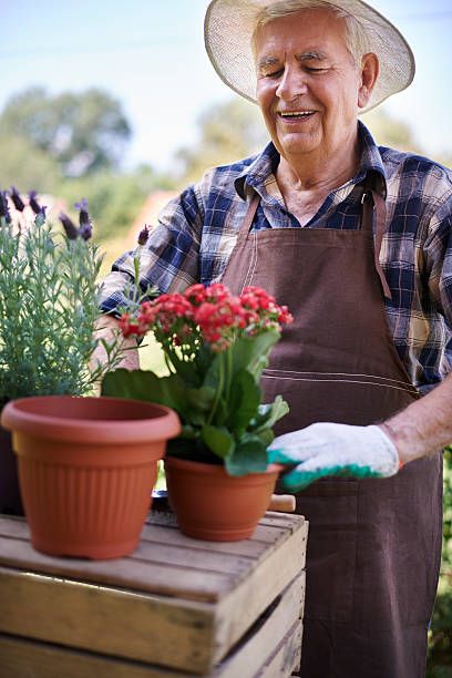 istock Today I have a really busy day 483240752