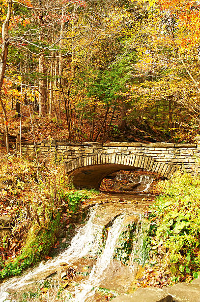 istock Autumn scene of waterfall 483240860