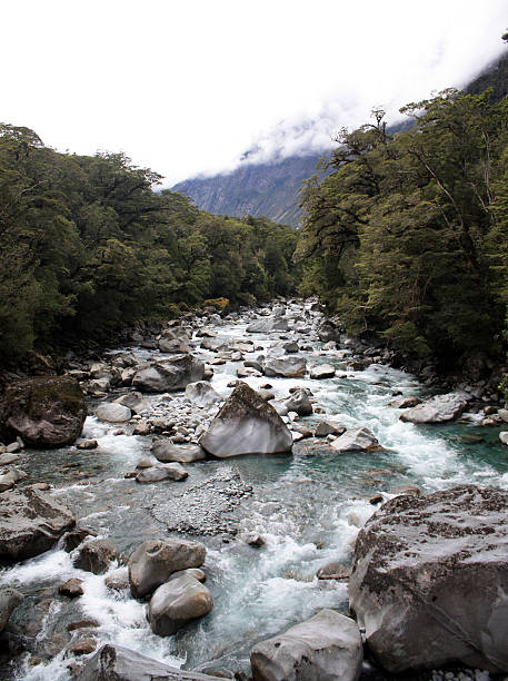 istock River at Milford Sound 483240912