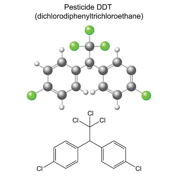 Vector illustration of DDT pesticide - structural chemical formula and model