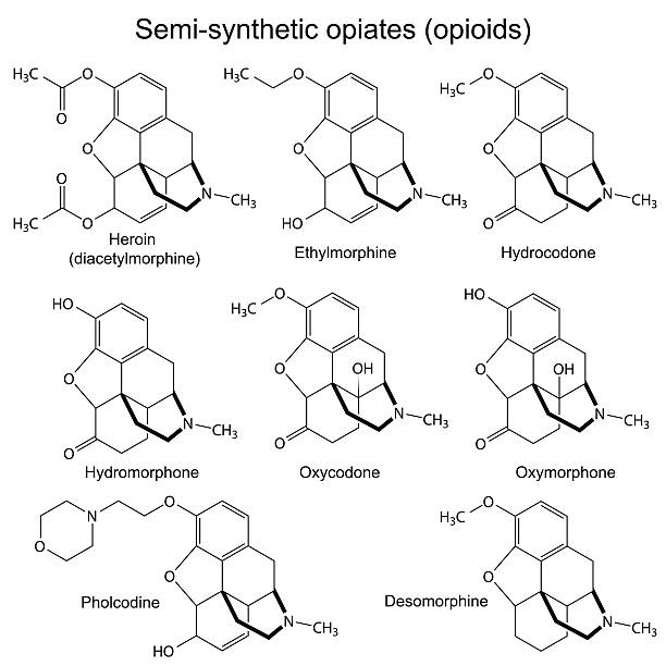 химические формулы основного полусинтетическая опиаты - hydrocodone stock illustrations