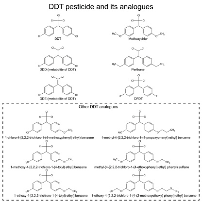DDT pesticide and its alanogues: DDD, DDE, methoxychlor, perthane, DFDT and others, 2d illustration, vector, eps 8