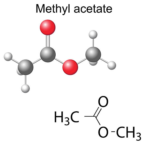 Structural chemical formula and model of methyl acetate vector art illustration