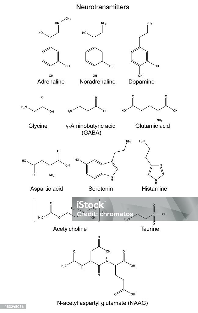 Structural chemical formulas of basic neurotransmitters Acid stock vector