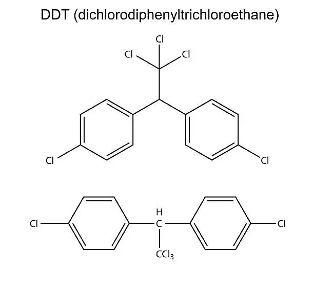 Vector illustration of Structural chemical formula of pesticide DDT