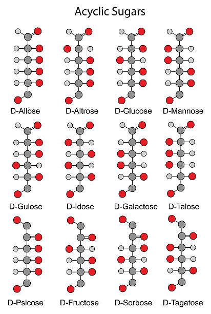 ilustraciones, imágenes clip art, dibujos animados e iconos de stock de química fórmulas estructurales de monosacáridos (hexoses - molecule glucose chemistry biochemistry