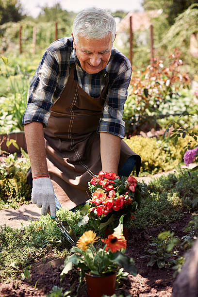 istock My flowers will be better in the ground 483245412