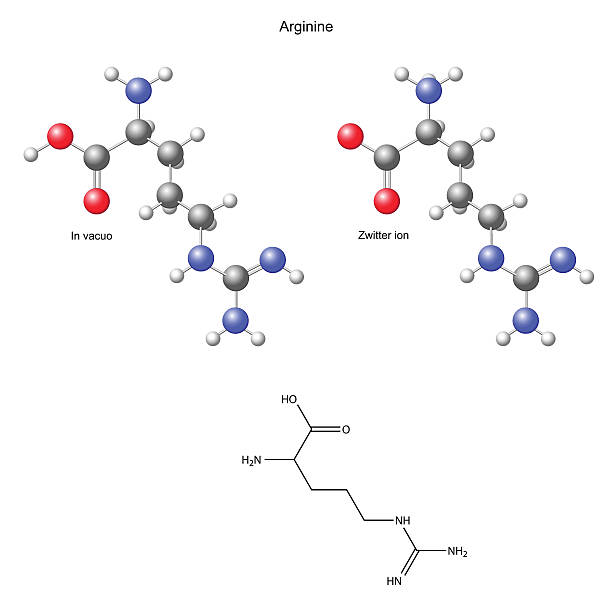 arginina (arg)-chemiczne i wzór strukturalny - molecule amino acid arginine molecular structure stock illustrations