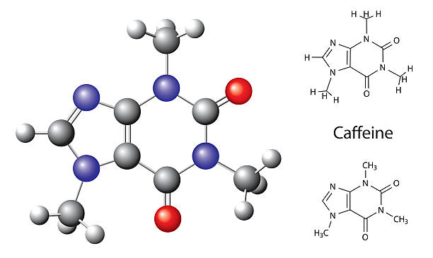 Structural chemical formula and model of caffeine molecule. Vect Structural chemical formula and model of caffeine molecule. Vector caffeine molecule stock illustrations