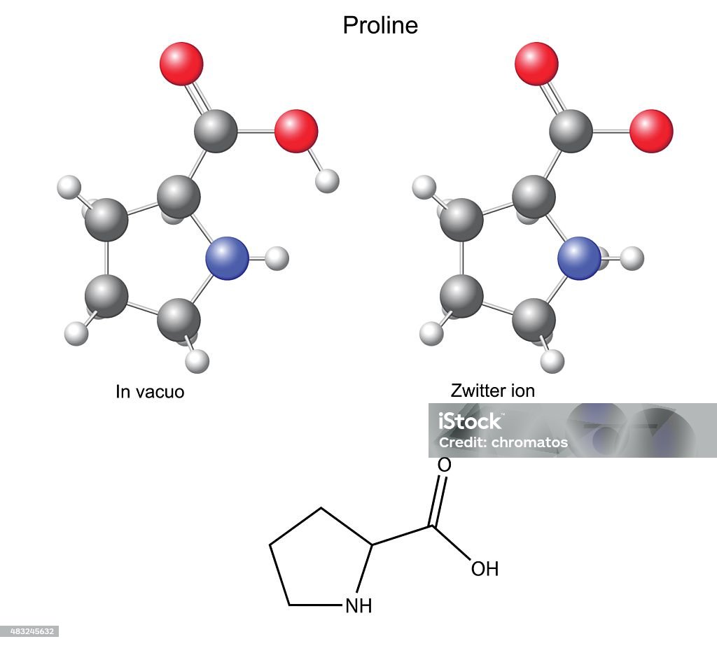 Pro Structure Formula Proline Chemical Structural Formula And Models Stock Illustration ...
