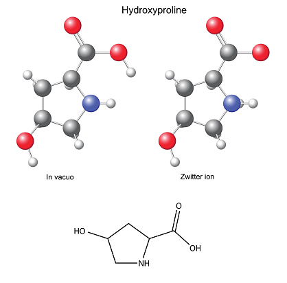 Hydroxyproline Content Hydroxyproline Chemical Structural Formula And Models Stock ...
