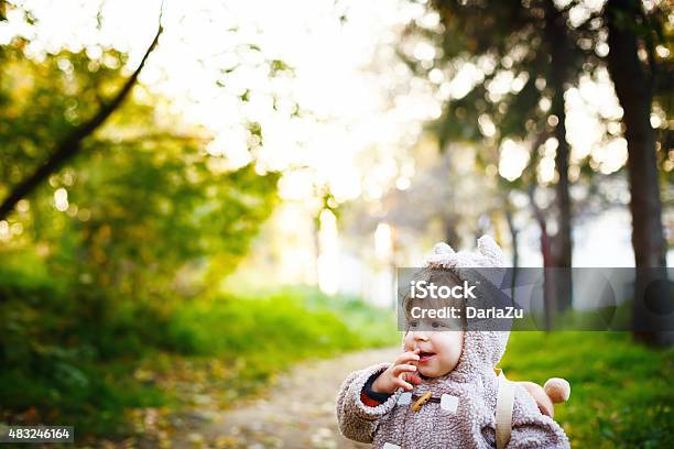 Happy Kid Laughing And Walking In The Park Stock Photo - Download Image Now - 18-23 Months, 2015, Autumn